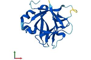 AlphaFold protein structure predicition of Mouse Recombinant Il1f10 Protein, UniprotID Q8R459