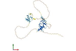 AlphaFold protein structure predicition of Mouse Recombinant Dppa4 Protein, UniprotID Q8CCG4