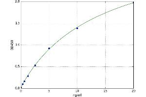 Actinin, alpha 2 (ACTN2) ELISA Kit