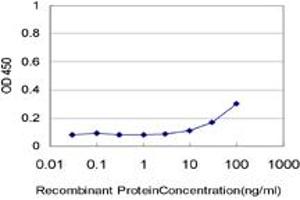 Detection limit for recombinant GST tagged OXSR1 is approximately 10ng/ml as a capture antibody. (OXSR1 抗体  (AA 1-527))
