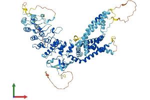 Protein Structure (PS) image for Transient Receptor Potential Cation Channel, Subfamily V, Member 2 (TRPV2) (AA 1-756) protein (His tag) (ABIN7565205)