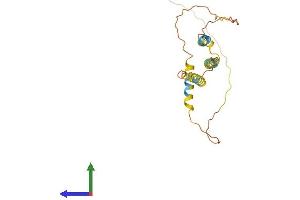 Protein Structure (PS) image for ADP-Ribosylation-Like Factor 6 Interacting Protein 6 (ARL6IP6) (AA 1-226) protein (His tag) (ABIN7552231)