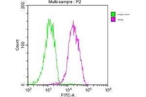 Overlay histogram showing MCF-7 cells stained with ABIN7154884 (red line). (Hsc70 抗体  (AA 2-646))