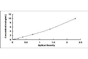 Typical standard curve (IL12RB2 ELISA 试剂盒)