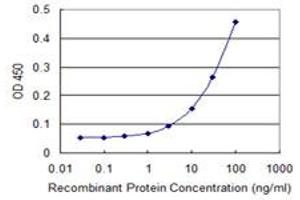 Detection limit for recombinant GST tagged TNIK is 1 ng/ml as a capture antibody. (TNIK 抗体  (AA 1-110))