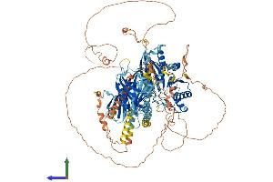 AlphaFold protein structure predicition of Human Recombinant INPP5F Protein, UniprotID Q9Y2H2