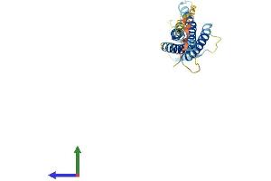 Protein Structure (PS) image for Claudin 17 (CLDN17) (AA 1-224) protein (His tag) (ABIN7558994)