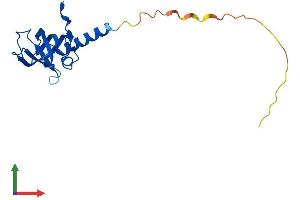 Protein Structure (PS) image for TEN1 Telomerase Capping Complex Subunit (TEN1) (AA 1-161) protein (His tag) (ABIN7564994)