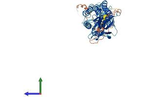 AlphaFold protein structure predicition of Human Recombinant TMEM8B Protein, UniprotID A6NDV4