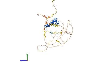 Protein Structure (PS) image for SRY (Sex Determining Region Y)-Box 17 (SOX17) (AA 1-414) protein (His tag) (ABIN7546198)