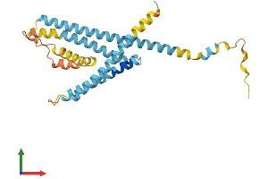 AlphaFold protein structure predicition of Human Recombinant LAPTM5 Protein, UniprotID Q13571