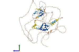 AlphaFold protein structure predicition of Human Recombinant FBXO43 Protein, UniprotID Q4G163