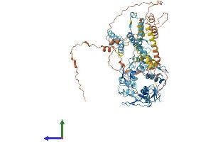 Protein Structure (PS) image for Zinc Finger Protein 483 (ZNF483) (AA 1-744) protein (His tag) (ABIN7545326)