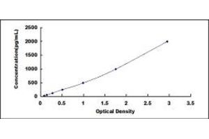 Typical standard curve (ANG ELISA 试剂盒)