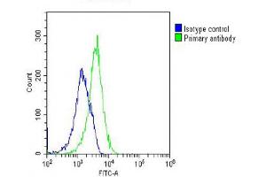 Overlay histogram showing U-2 OS cells stained with (ABIN6242957 and ABIN6577252)(green line). (GNMT 抗体  (AA 1-295))