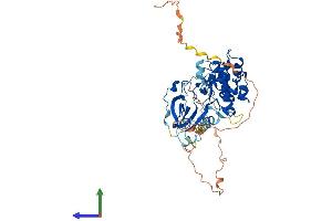 AlphaFold protein structure predicition of Human Recombinant RPS6KB2 Protein, UniprotID Q9UBS0