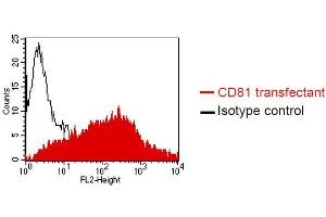 FACS analysis of Dubca cells using QV-6A8-S3 Cat. (CD81 抗体)