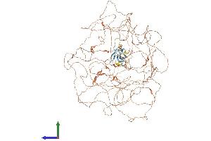 Protein Structure (PS) image for Periaxin (PRX) (AA 1-1461) protein (His tag) (ABIN7555069)