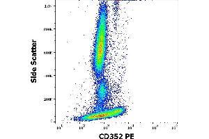 Flow cytometry surface staining pattern of human peripheral whole blood stained using anti-human CD352 (hsF6. (SLAMF6 抗体  (PE))