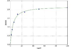 Interleukin 7 Receptor (IL7R) ELISA Kit