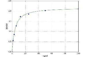 A typical standard curve (IL7R ELISA 试剂盒)