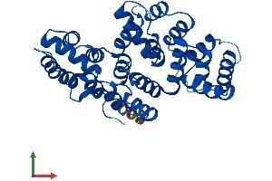 Protein Structure (PS) image for Annexin A8 (ANXA8) (AA 1-327) protein (His tag) (ABIN7552254)