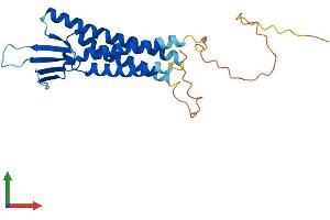 Protein Structure (PS) image for Claudin 12 (CLDN12) (AA 1-244) protein (His tag) (ABIN7561493)
