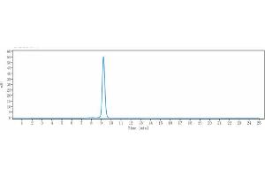 anti-Interleukin 23 (IL23) antibody