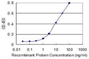 Detection limit for recombinant GST tagged FBXO36 is 0. (FBXO36 抗体  (AA 66-165))