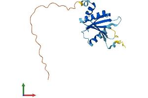 Protein Structure (PS) image for tRNA Splicing Endonuclease 15 Homolog (TSEN15) (AA 1-171) protein (His tag) (ABIN7545994)