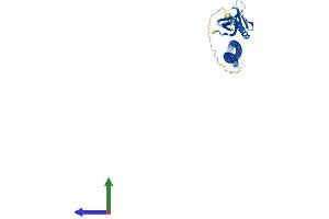 AlphaFold protein structure predicition of Mouse Recombinant Homer1 Protein, UniprotID Q9Z2Y3 (HOMER1 Protein (AA 1-366) (His tag))