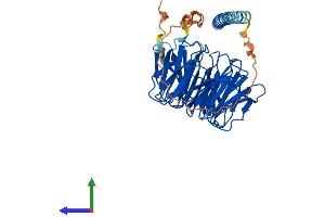 Protein Structure (PS) image for POC1 Centriolar Protein Homolog A (POC1A) (AA 1-405) protein (His tag) (ABIN7559412)