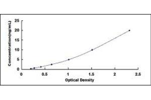Typical standard curve (Adiponectin Receptor 2 ELISA 试剂盒)