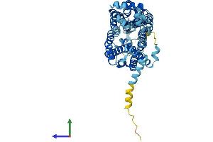 Protein Structure (PS) image for Solute Carrier Family 22 (Organic Anion Transporter), Member 8 (SLC22A8) (AA 1-537) protein (His tag) (ABIN7562689)