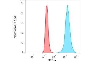 Flow Cytometry (FACS) image for anti-Histone H1 antibody (ABIN6939602)
