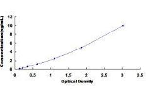 Cystathionine-beta-Synthase (CBS) ELISA Kit