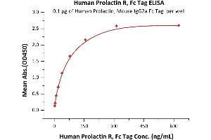 Immobilized Human Prolactin, Mouse IgG2a Fc Tag, low endotoxin (ABIN6253198,ABIN6253591) at 1 μg/mL (100 μL/well) can bind Human Prolactin R, Fc Tag (ABIN5674642,ABIN6253668) with a linear range of 2-39 ng/mL (QC tested).