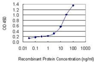 Detection limit for recombinant GST tagged CLTA is 0. (CLTA 抗体  (AA 118-176))