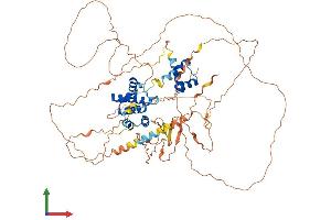Protein Structure (PS) image for Homeobox protein SIX5 (SIX5) (AA 1-719) protein (His tag) (ABIN7563513)