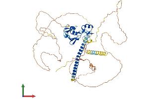 Protein Structure (PS) image for Deformed Epidermal Autoregulatory Factor 1 (Drosophila) (DEAF1) (AA 1-565) protein (His tag) (ABIN7553627)