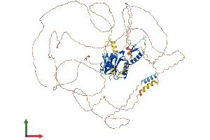 Protein Structure (PS) image for Establishment of Cohesion 1 Homolog 1 (ESCO1) (AA 1-843) protein (His tag) (ABIN7564014)