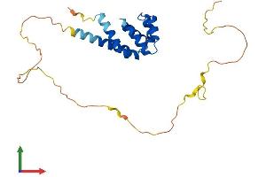 Protein Structure (PS) image for B-Cell CLL/lymphoma 10 (BCL10) (AA 1-233) protein (His tag) (ABIN7556348)