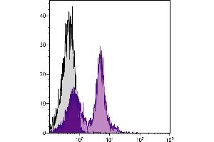 BALB/c mouse splenocytes were stained with Rat Anti-Mouse CD38-FITC. (CD38 抗体  (FITC))