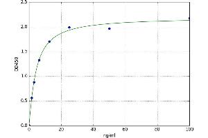 A typical standard curve (beta-2 Microglobulin ELISA 试剂盒)