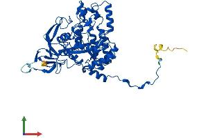 AlphaFold protein structure predicition of Human Recombinant DPYS Protein, UniprotID Q14117