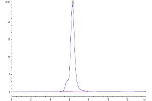 The purity of Mouse SEZ6 is greater than 95 % as determined by SEC-HPLC.