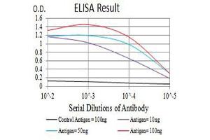 Black line: Control Antigen (100 ng),Purple line: Antigen (10 ng), Blue line: Antigen (50 ng), Red line:Antigen (100 ng) (BTN3A1 抗体  (AA 30-254))