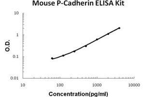 Mouse P-Cadherin PicoKine ELISA Kit standard curve (P-Cadherin ELISA 试剂盒)