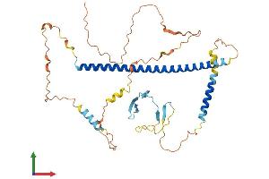 AlphaFold protein structure predicition of Human Recombinant MCIDAS Protein, UniprotID D6RGH6 (Multicilin Protein (AA 1-385) (His tag))