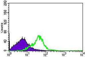 Flow cytometric analysis of HEK293 cells using DNAL4 mouse mAb (green) and negative control (purple). (DNAL4 抗体  (AA 1-105))